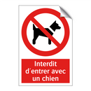 Interdit d'entrer avec un chien