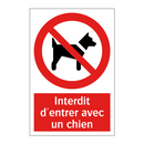 Interdit d'entrer avec un chien