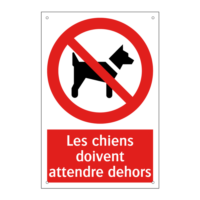 Les chiens doivent attendre dehors