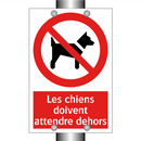 Les chiens doivent attendre dehors