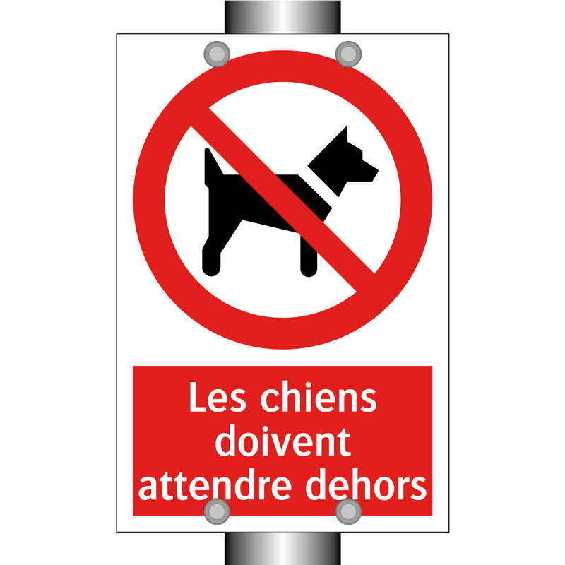 Les chiens doivent attendre dehors