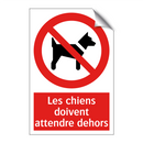 Les chiens doivent attendre dehors