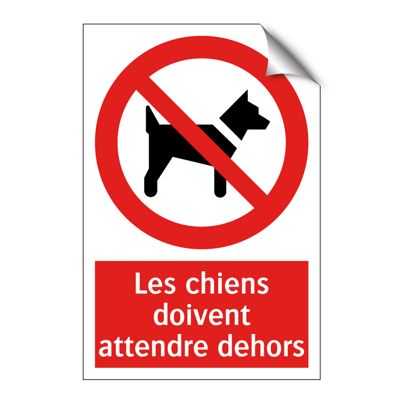 Les chiens doivent attendre dehors