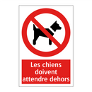 Les chiens doivent attendre dehors