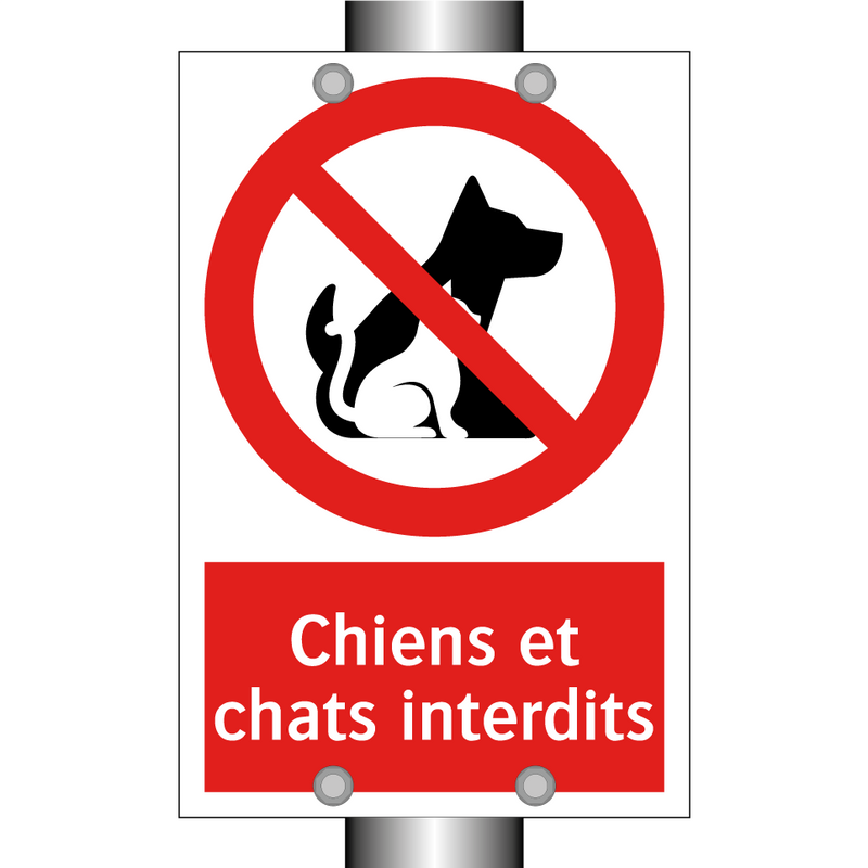 Chiens et chats interdits