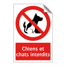 Chiens et chats interdits