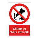 Chiens et chats interdits