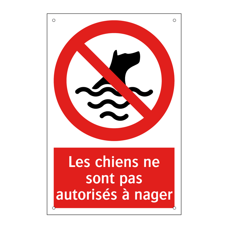 Les chiens ne sont pas autorisés à nager