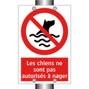 Les chiens ne sont pas autorisés à nager
