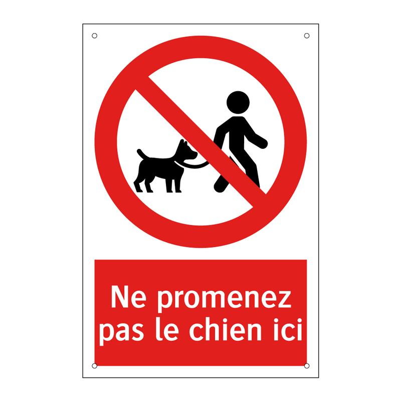 Ne promenez pas le chien ici