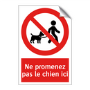 Ne promenez pas le chien ici