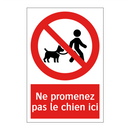 Ne promenez pas le chien ici