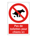 Pas de toilettes pour chiens ici