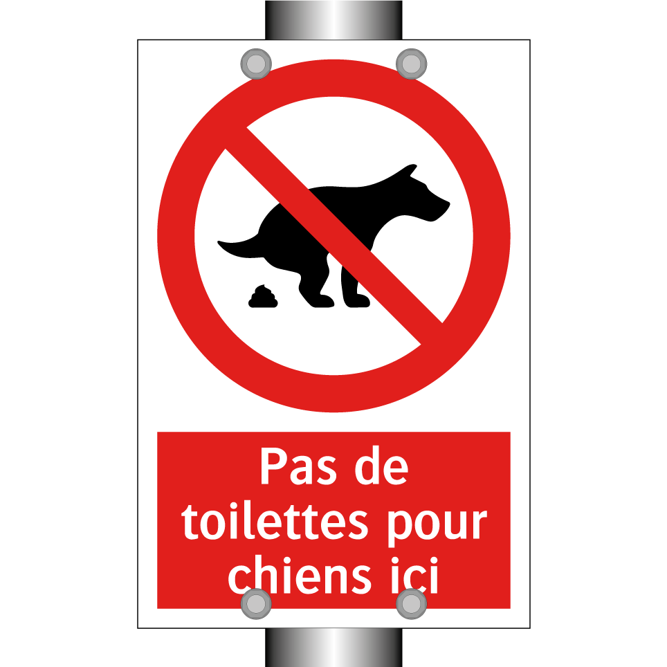 Pas de toilettes pour chiens ici