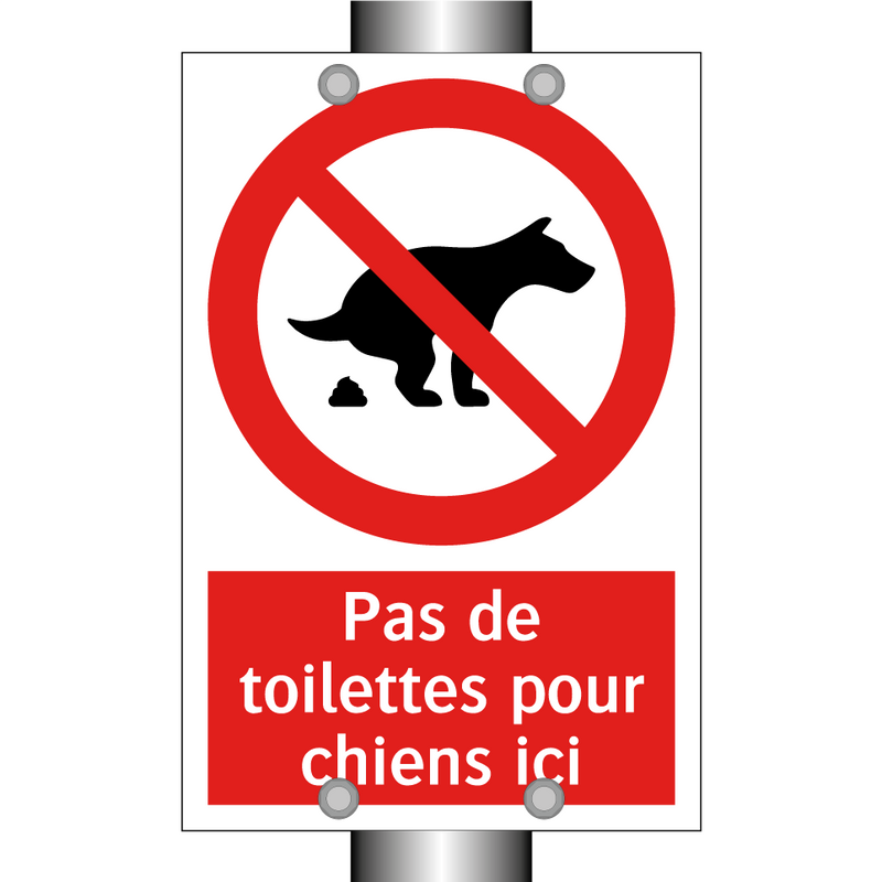 Pas de toilettes pour chiens ici
