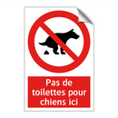 Pas de toilettes pour chiens ici