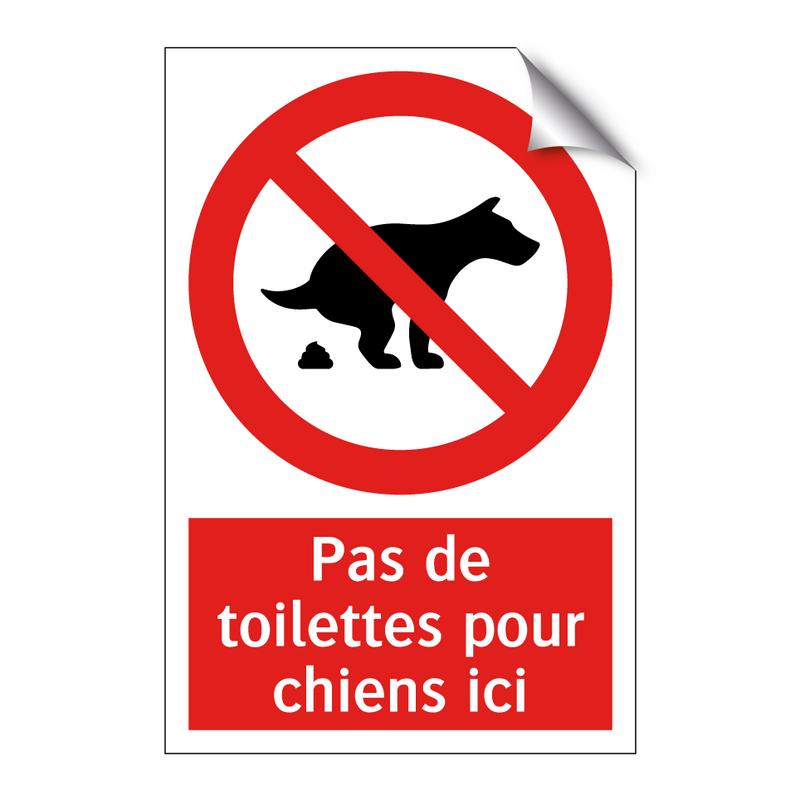 Pas de toilettes pour chiens ici