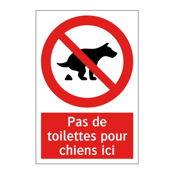 Pas de toilettes pour chiens ici