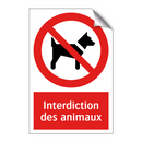 Interdiction des animaux