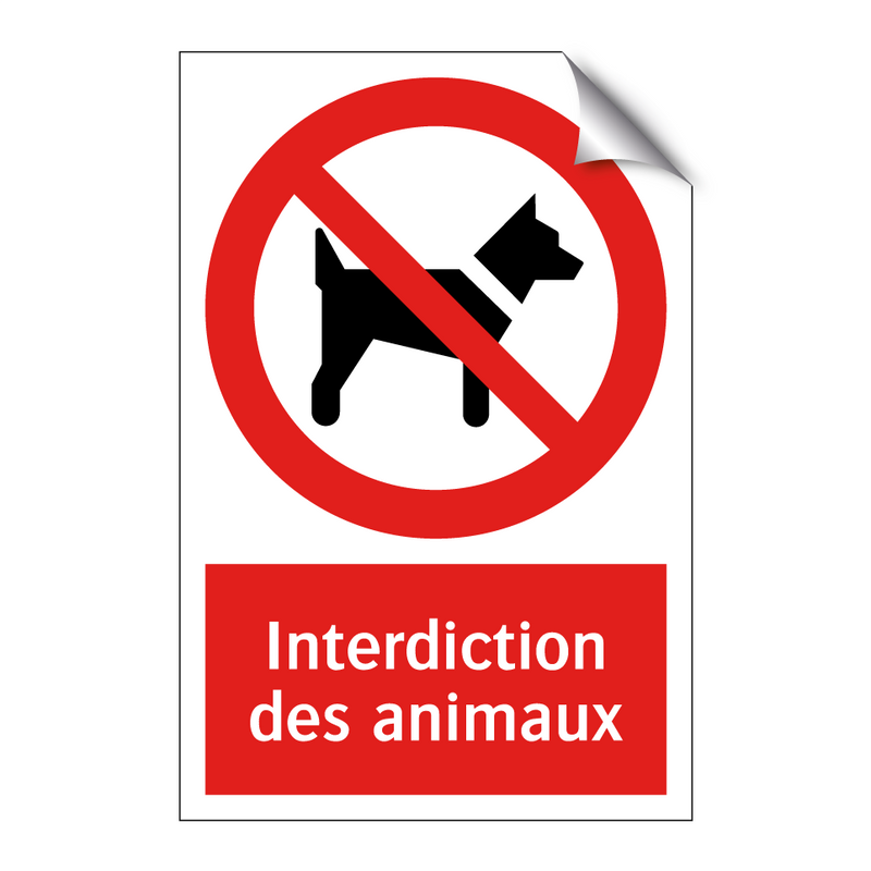 Interdiction des animaux