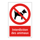 Interdiction des animaux