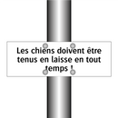 Les chiens doivent être tenus en laisse en tout temps !