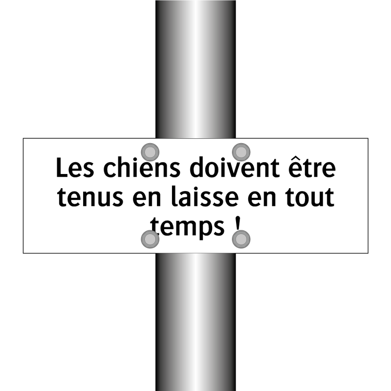 Les chiens doivent être tenus en laisse en tout temps !