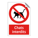 Chats interdits