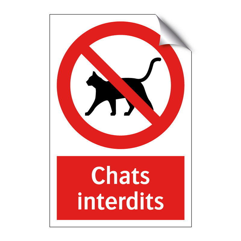 Chats interdits