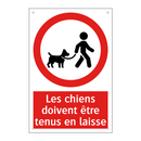 Les chiens doivent être tenus en laisse