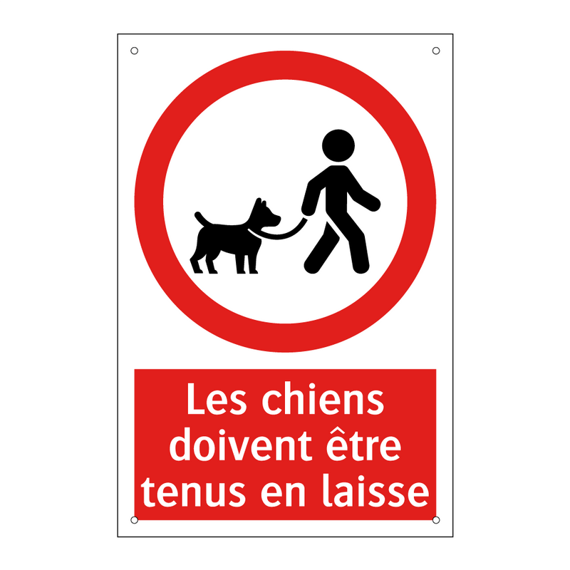 Les chiens doivent être tenus en laisse