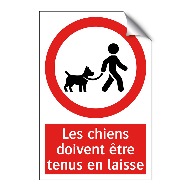 Les chiens doivent être tenus en laisse