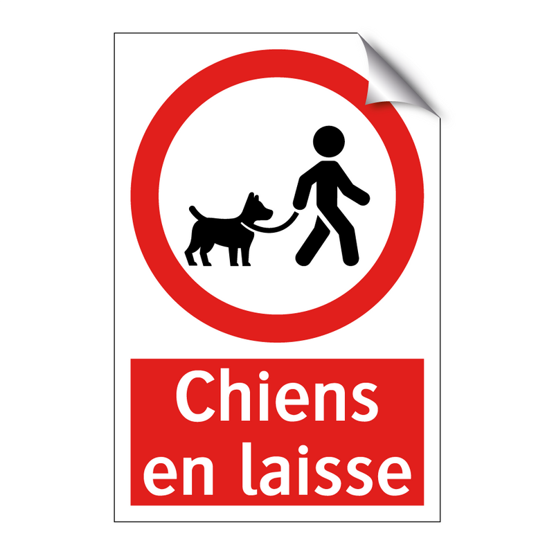 Chiens en laisse