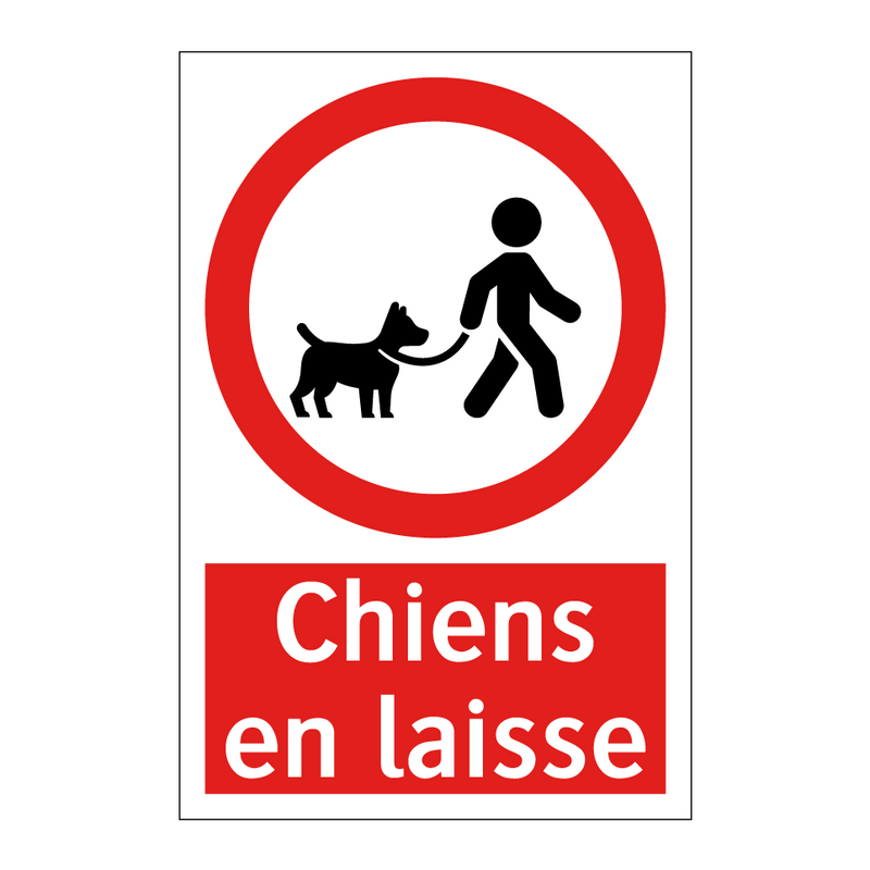 Chiens en laisse