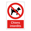 Chiens interdits