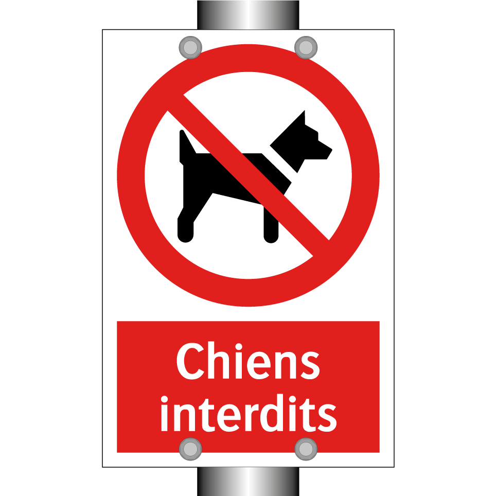 Chiens interdits