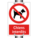 Chiens interdits