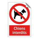 Chiens interdits