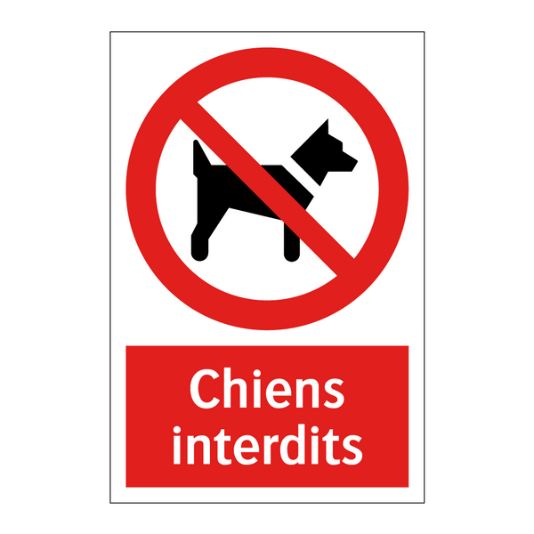 Chiens interdits