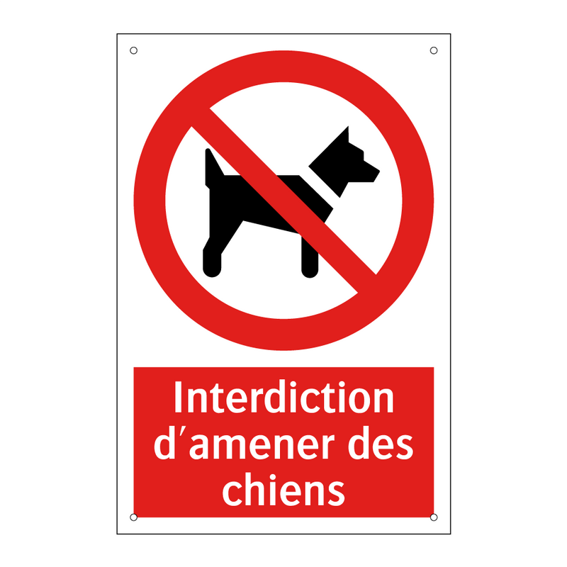 Interdiction d'amener des chiens