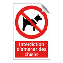 Interdiction d'amener des chiens