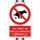 Les chiens ne sont pas autorisés à déféquer ici