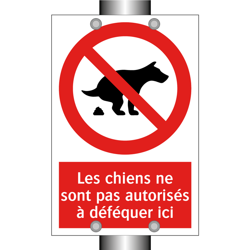 Les chiens ne sont pas autorisés à déféquer ici