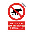Les chiens ne sont pas autorisés à déféquer ici