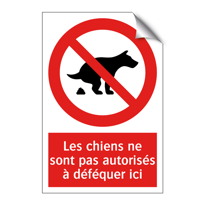 Les chiens ne sont pas autorisés à déféquer ici