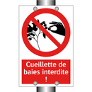 Cueillette de baies interdite !