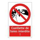 Cueillette de baies interdite !