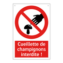Cueillette de champignons interdite !