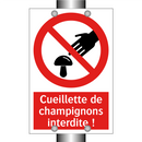 Cueillette de champignons interdite !