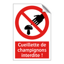 Cueillette de champignons interdite !